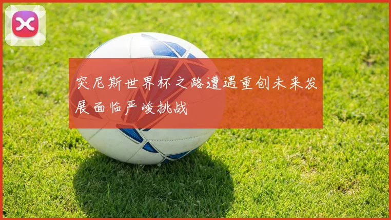突尼斯世界杯之路遭遇重创未来发展面临严峻挑战